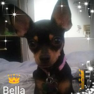 Meet your Posher, Suzanna